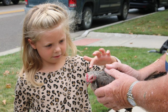 Blakely and the Chicken